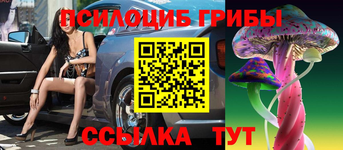 Галлюциногенные грибы Psilocybe  Вход с VPN  Элиста 