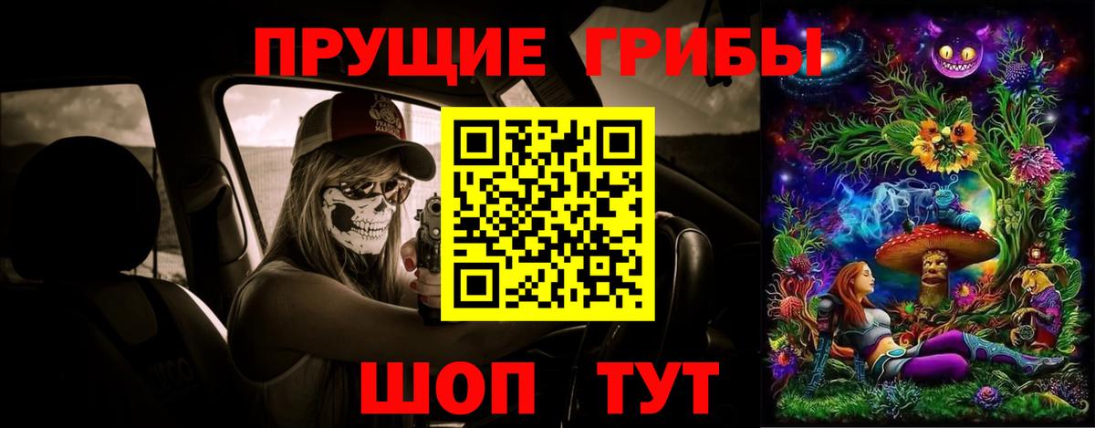 Галлюциногенные грибы Cubensis Элиста